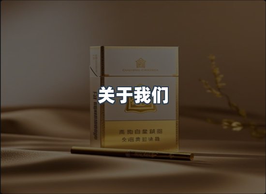 关于我们